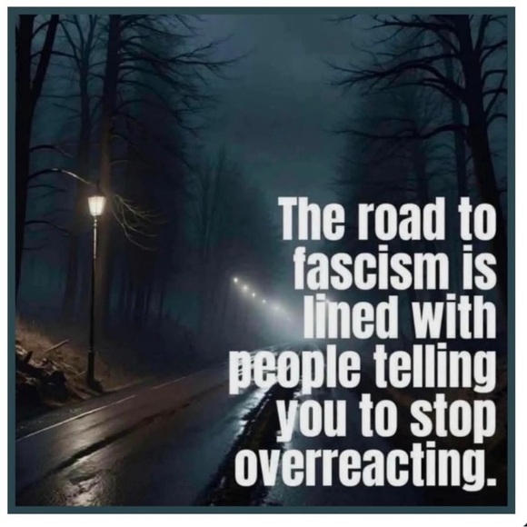 NWT black sheer J.Crew blouse with crepe under Cami cuffed sleeves - Picture 7 of 7